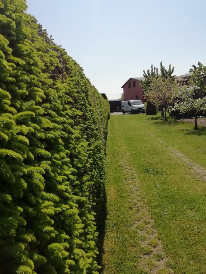 Haeuschen Im Gruenen Villa Jornstorf Bagian luar foto